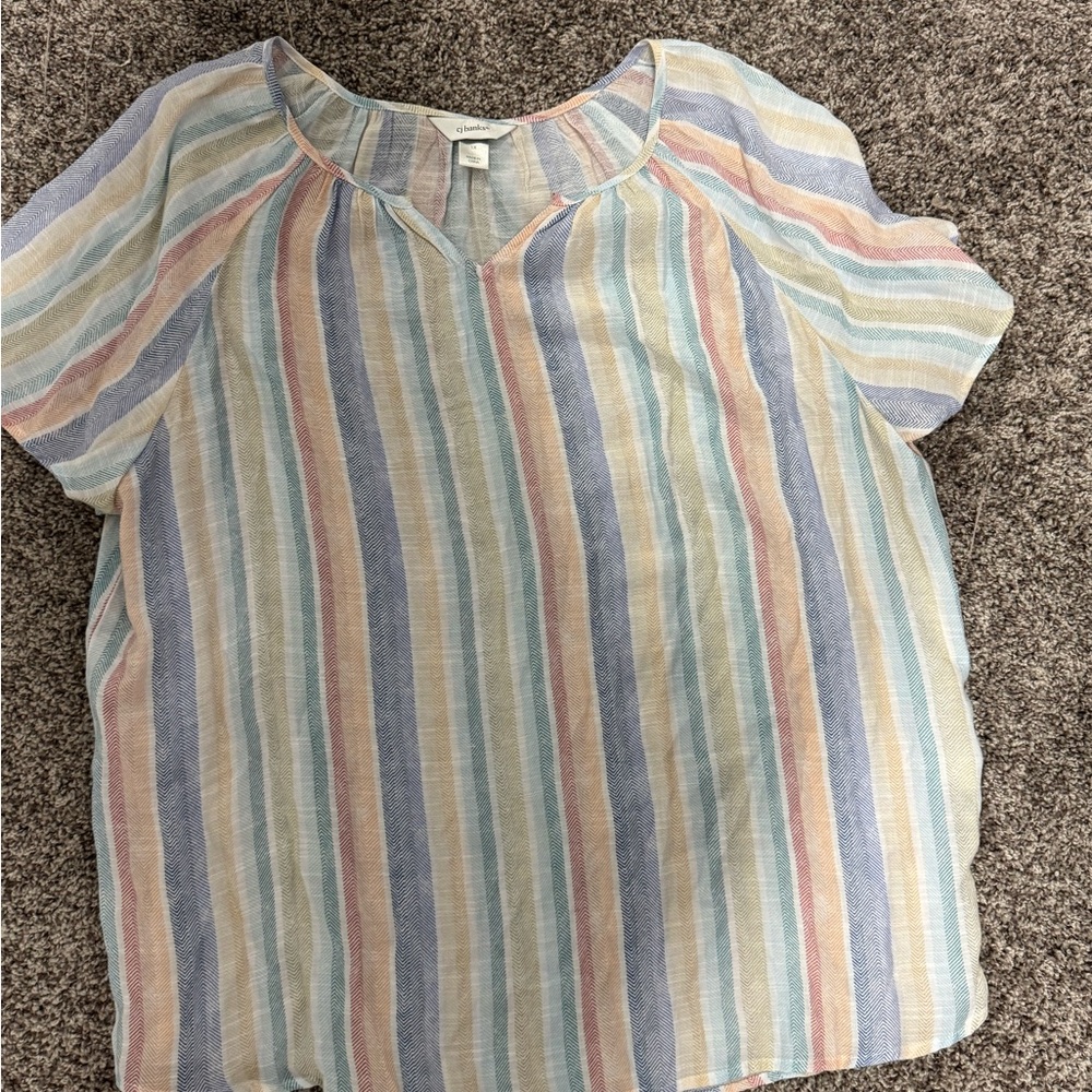 CJ Banks Striped Multicolor Blouse